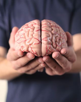 ANATOMIE JE SNAZŠÍ, KDYŽ ... 🫁🫀Ji můžete vzít doslova do ruky. A kde je tedy ten thalamus ? 🧠 🎓 Nachází se uprostřed...