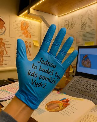 💙 VYDRŽ, PRŤKA. VYDRŽ. Možná máš pocit, že už se ti to do hlavy nevejde. Že se anatomie, fyzio i histola slévají do...