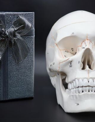 💀 DÁREK AŽ NA KOST. Anatomická lebka ve 3 dílech — přesná, číslovaná, ideální pro studium i jako stylový dárek pro každého...